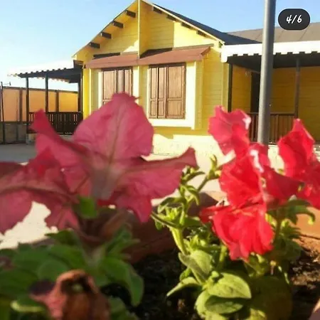 Millennium Beach Bungalow Bed & Breakfast Margherita Di Savoia